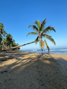 las terrenas