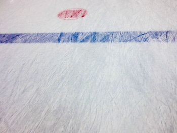 chelsea hotel toronto