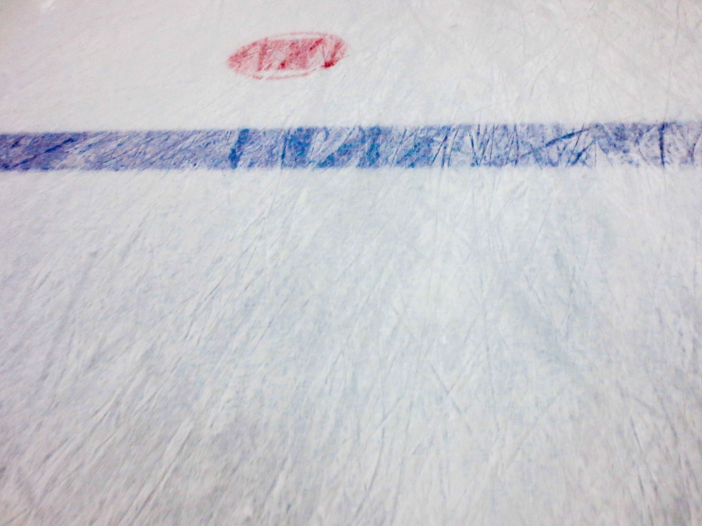 chelsea hotel toronto