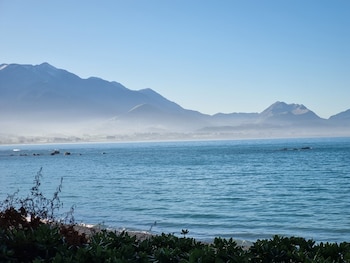 kaikoura quality suites