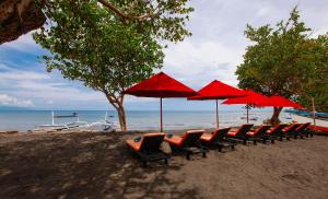bali taman beach resort and spa lovina