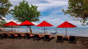 bali taman beach resort and spa lovina