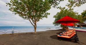 bali taman beach resort and spa lovina