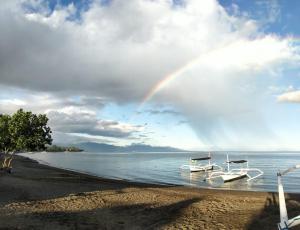 bali taman beach resort and spa lovina