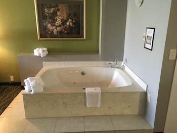 quality inn and suites winter park village area