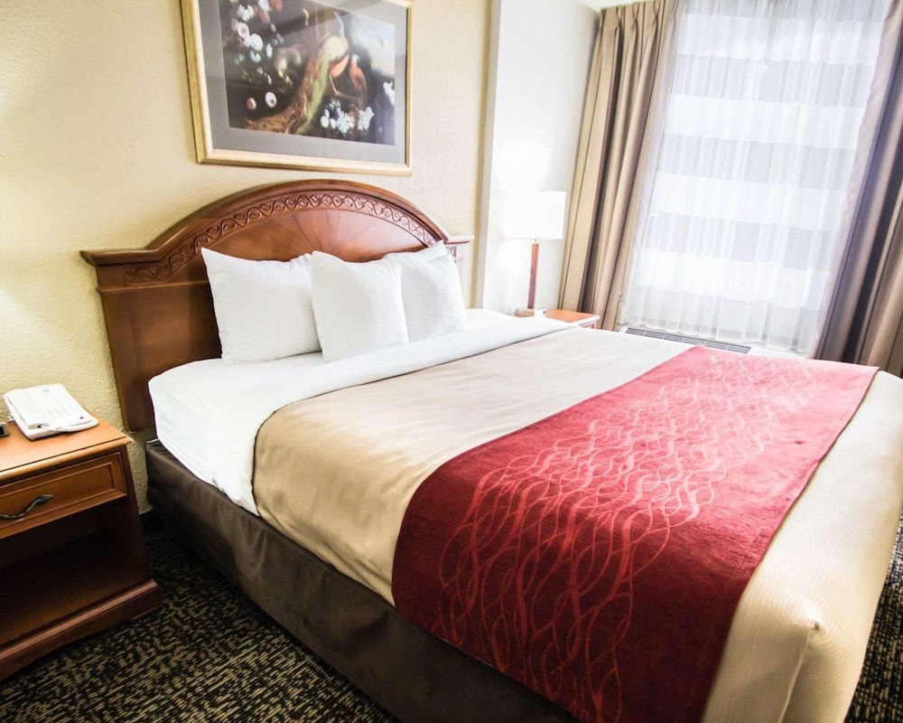 quality inn and suites winter park village area