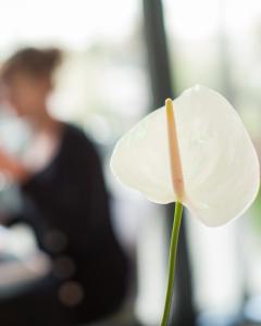 plaza inn wien gasometer