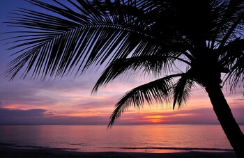 Mayan Princess Beach & Dive Resort - All Inclusive,Roatan>>Gibson Bight,4 star