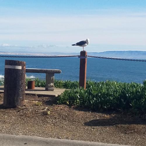 shell beach inn