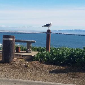 shell beach inn