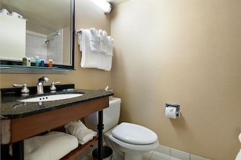 doubletree by hilton new york jfk airport