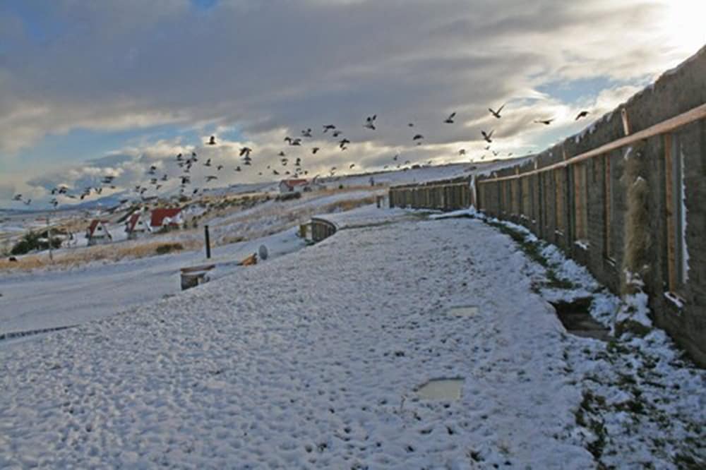 altiplanico puerto natales