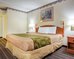 rodeway inn stone mountain