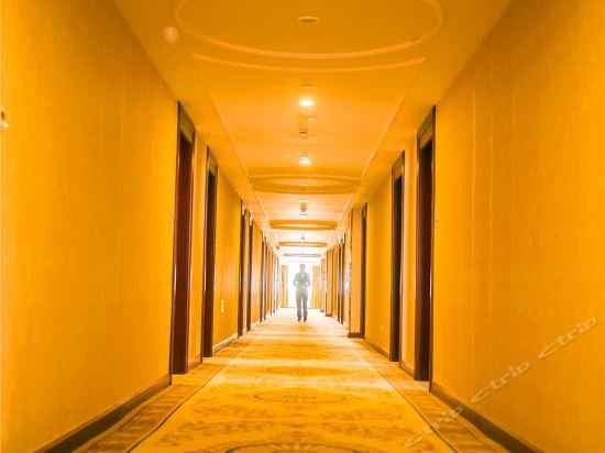 vienna hotel hangzhou xiaoshan airport