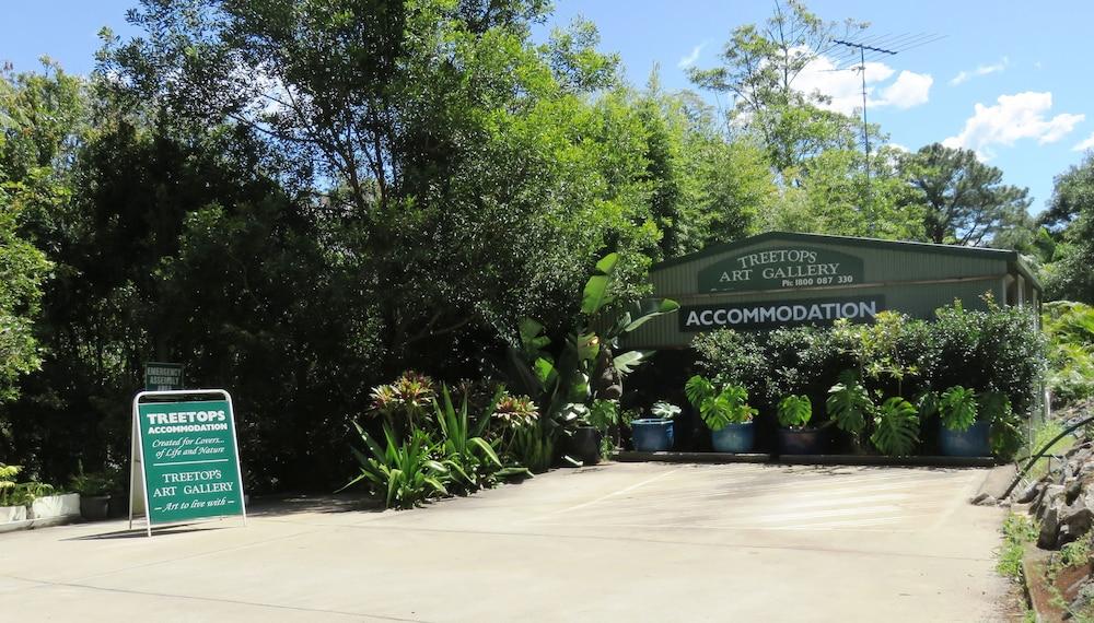 treetops accommodation montville