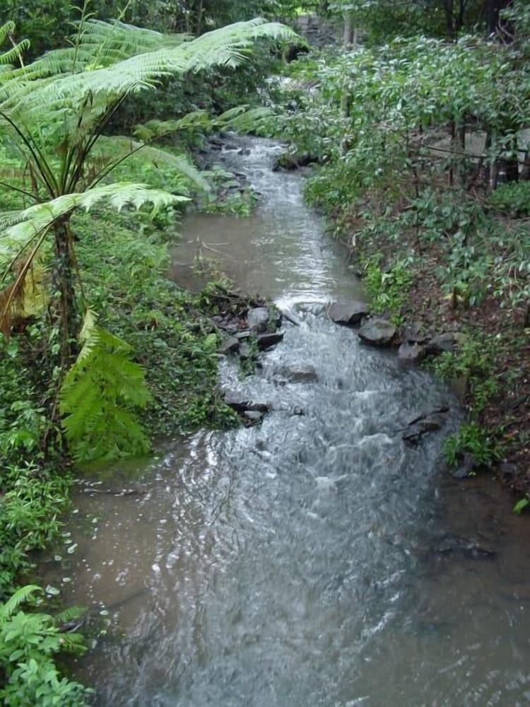treetops accommodation montville