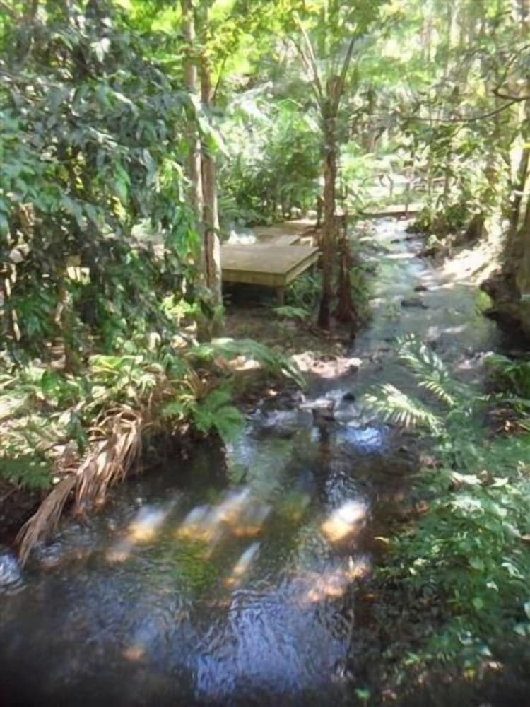 treetops accommodation montville