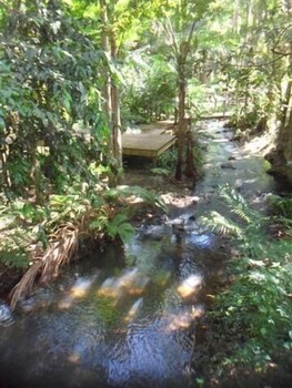 treetops accommodation montville