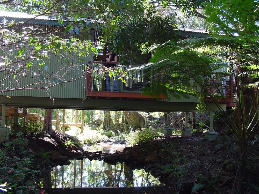 treetops accommodation montville