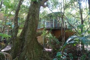 treetops accommodation montville