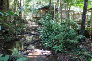 treetops accommodation montville