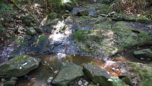 treetops accommodation montville