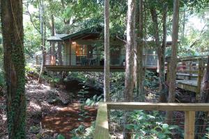 treetops accommodation montville