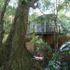 treetops accommodation montville