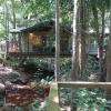 treetops accommodation montville