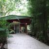 treetops accommodation montville