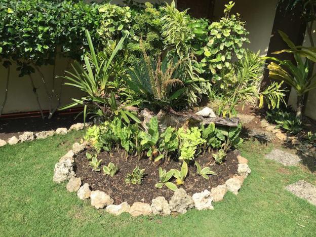 chiisai natsu resort panglao