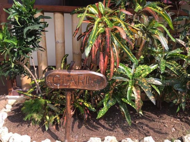 chiisai natsu resort panglao