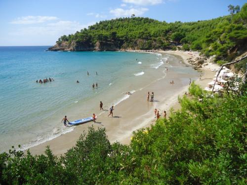 alonissos beach bungalows and suites hotel