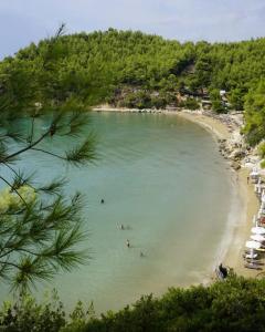 alonissos beach bungalows and suites hotel