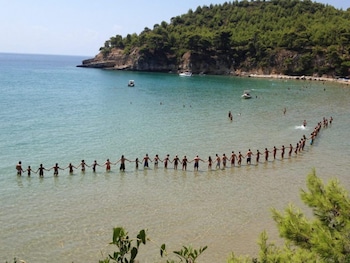 alonissos beach bungalows and suites hotel