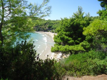 alonissos beach bungalows and suites hotel