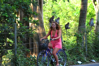 suarti boutique village