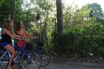 suarti boutique village