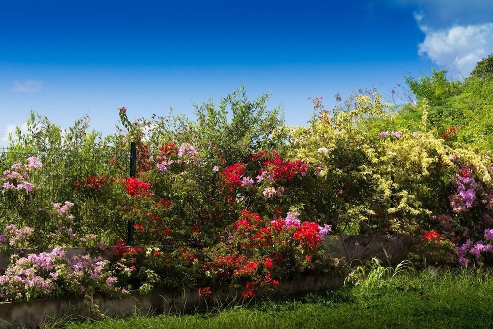 au jardin debeausejour