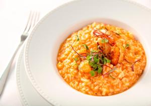 estanplaza ibirapuera