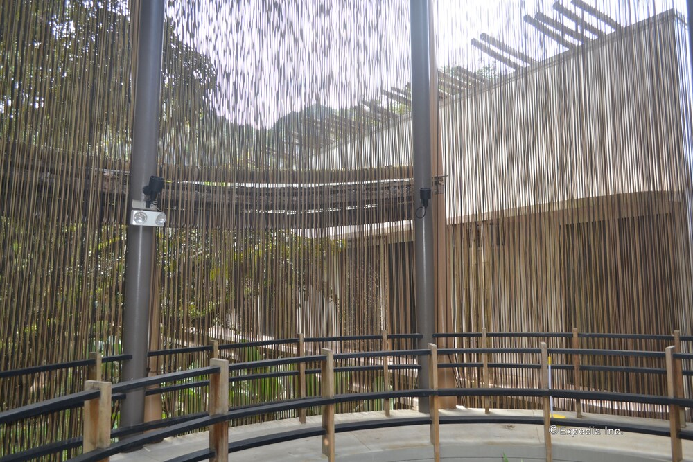 spin designer hostel