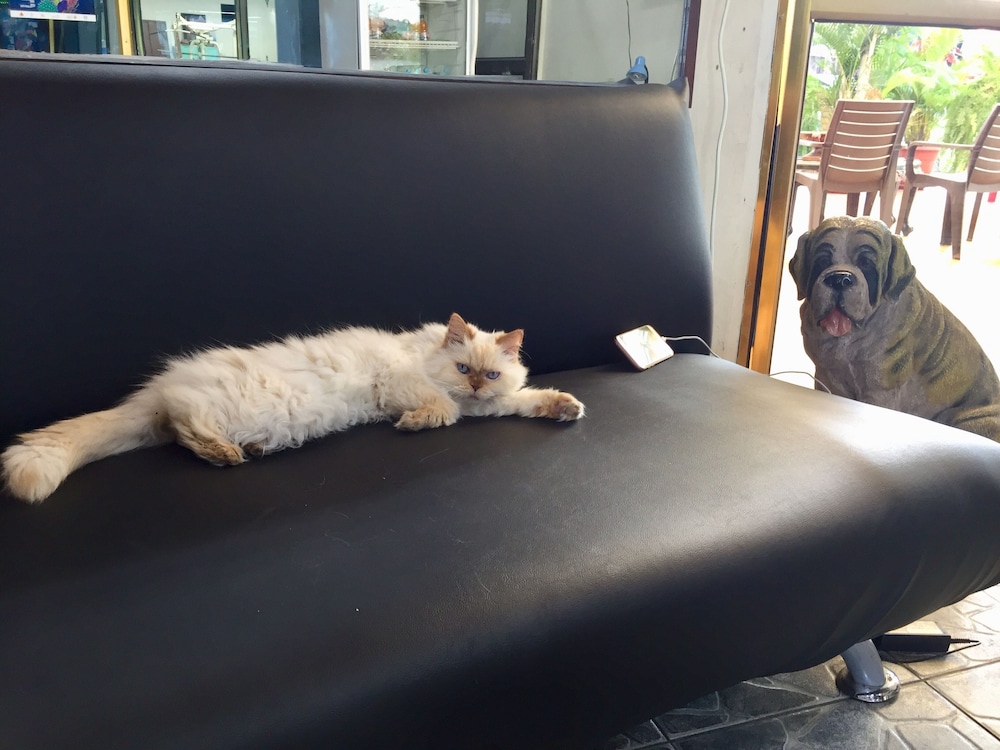 mundialcity hotel guayaquil