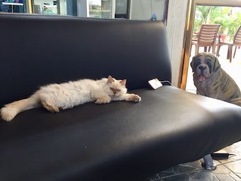 mundialcity hotel guayaquil