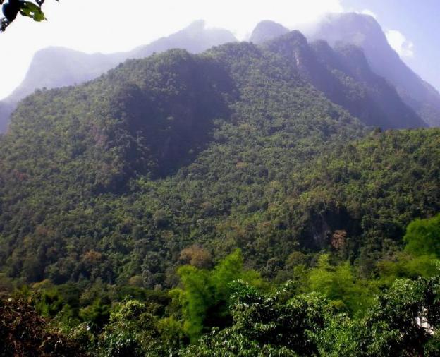 chiang dao roundhouses