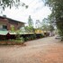 mahabaleshwar