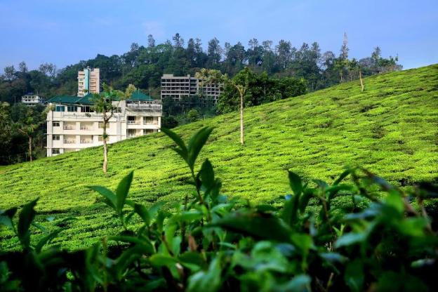 monsoon grande