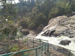 monsoon grande