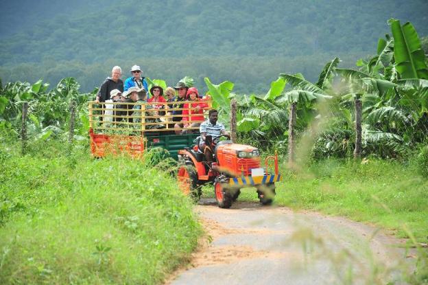 harvest fresh farms