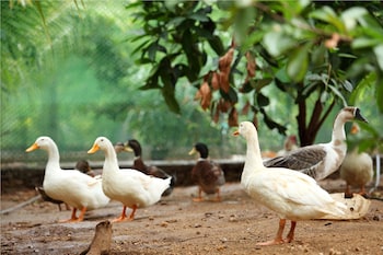 uthamapalayam
