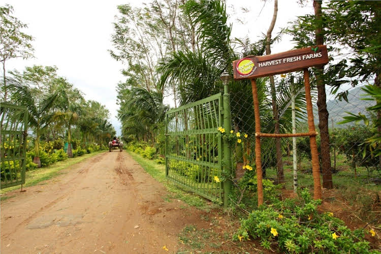 uthamapalayam